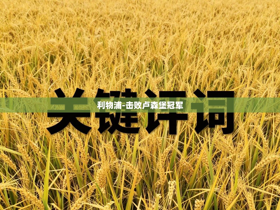 利物浦-击败卢森堡冠军 第1张