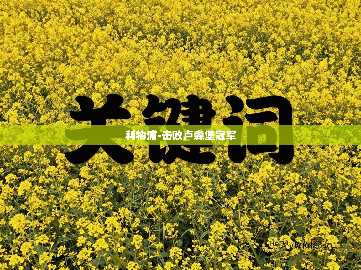 利物浦-击败卢森堡冠军 第2张